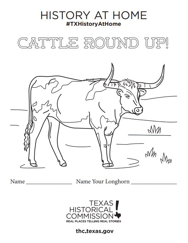 32 Bold Longhorn Coloring Pages Printable 4