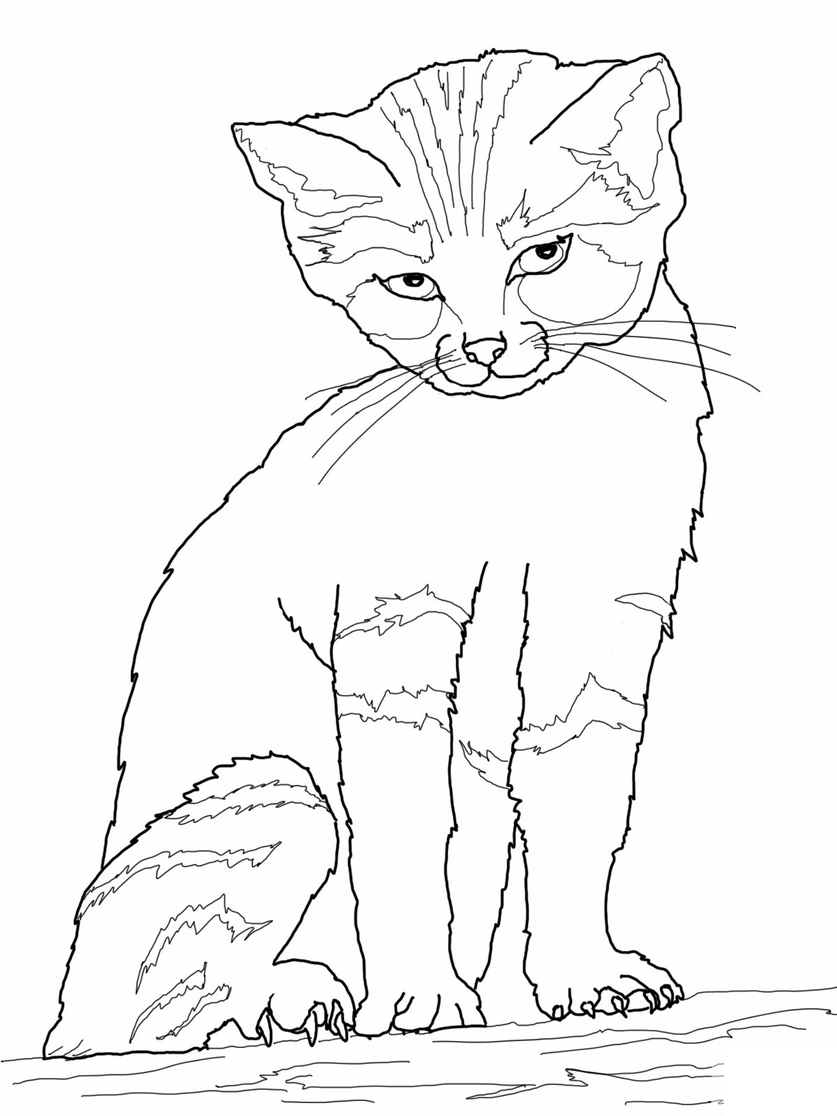 32 Cute Cat Face Coloring Page Printable 10