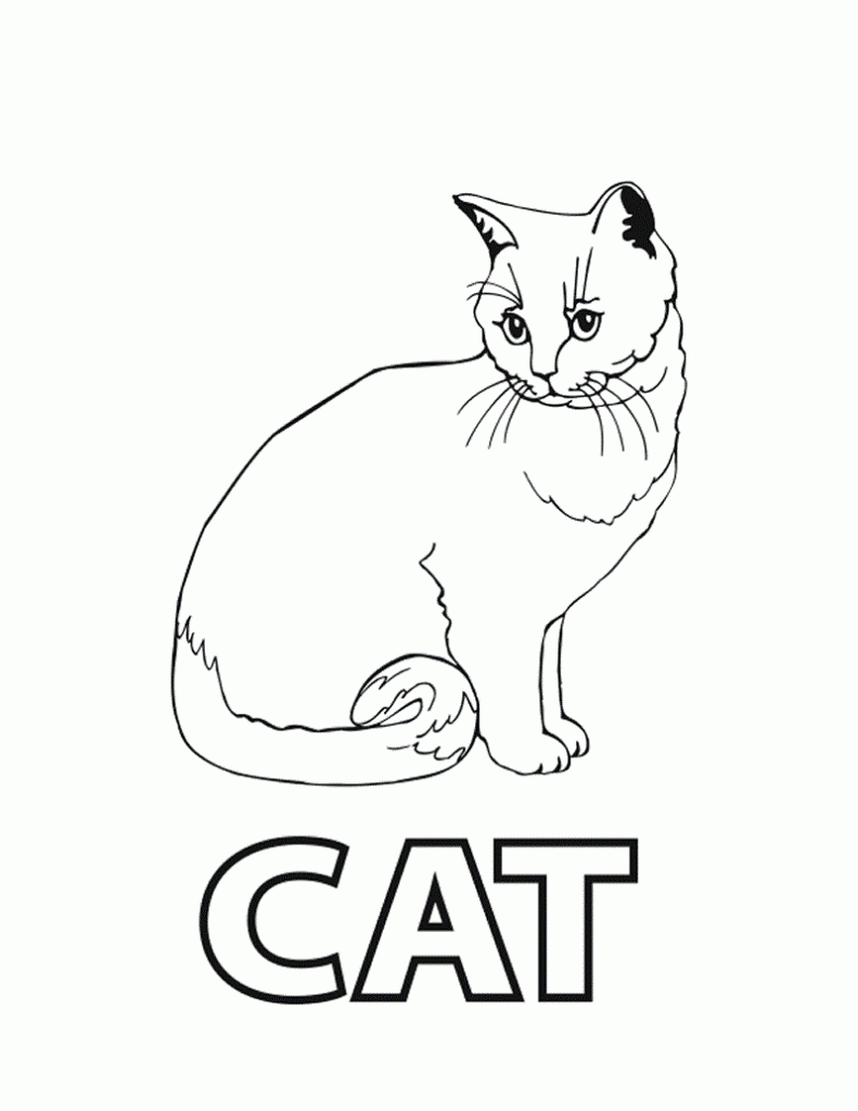 32 Cute Cat Face Coloring Page Printable 18