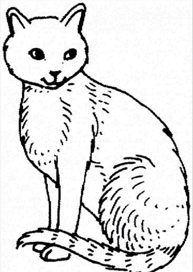 32 Cute Cat Face Coloring Page Printable 22