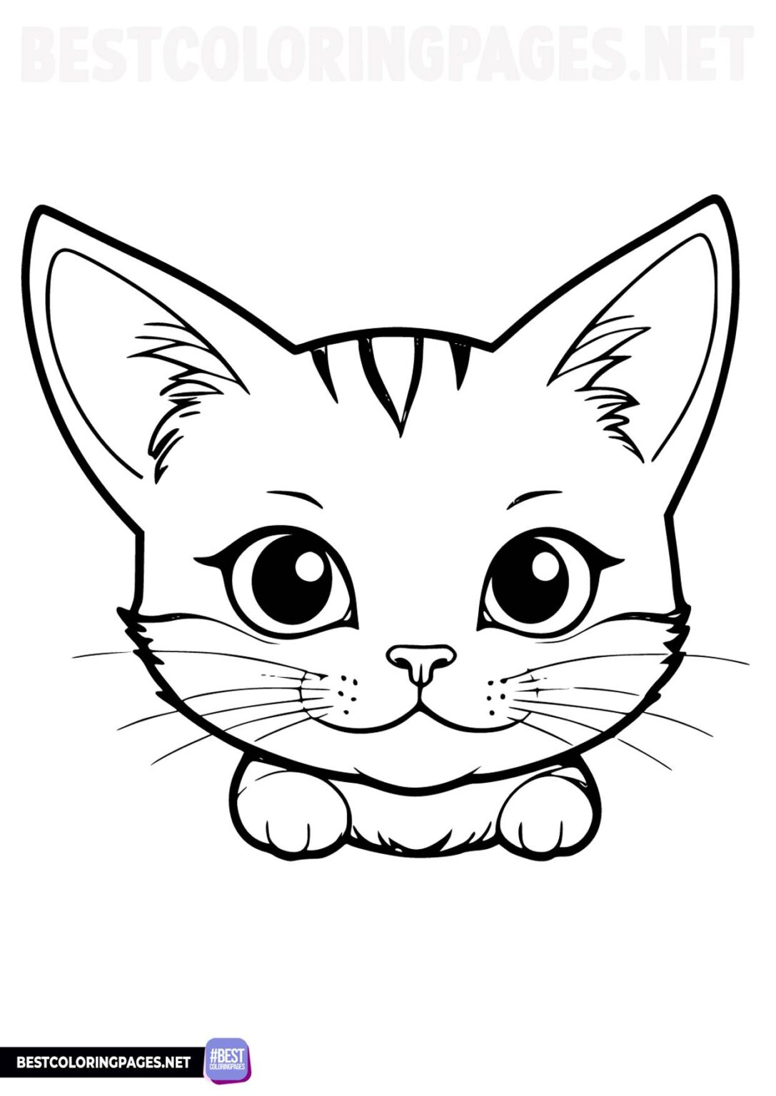 32 Cute Cat Face Coloring Page Printable 5