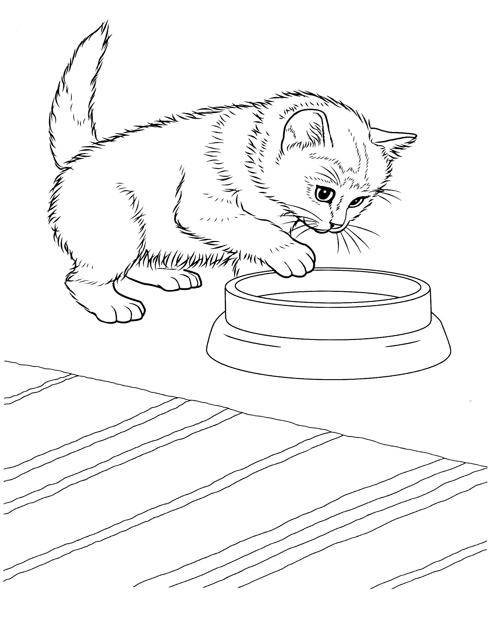 32 Cute Cat Face Coloring Page Printable 6