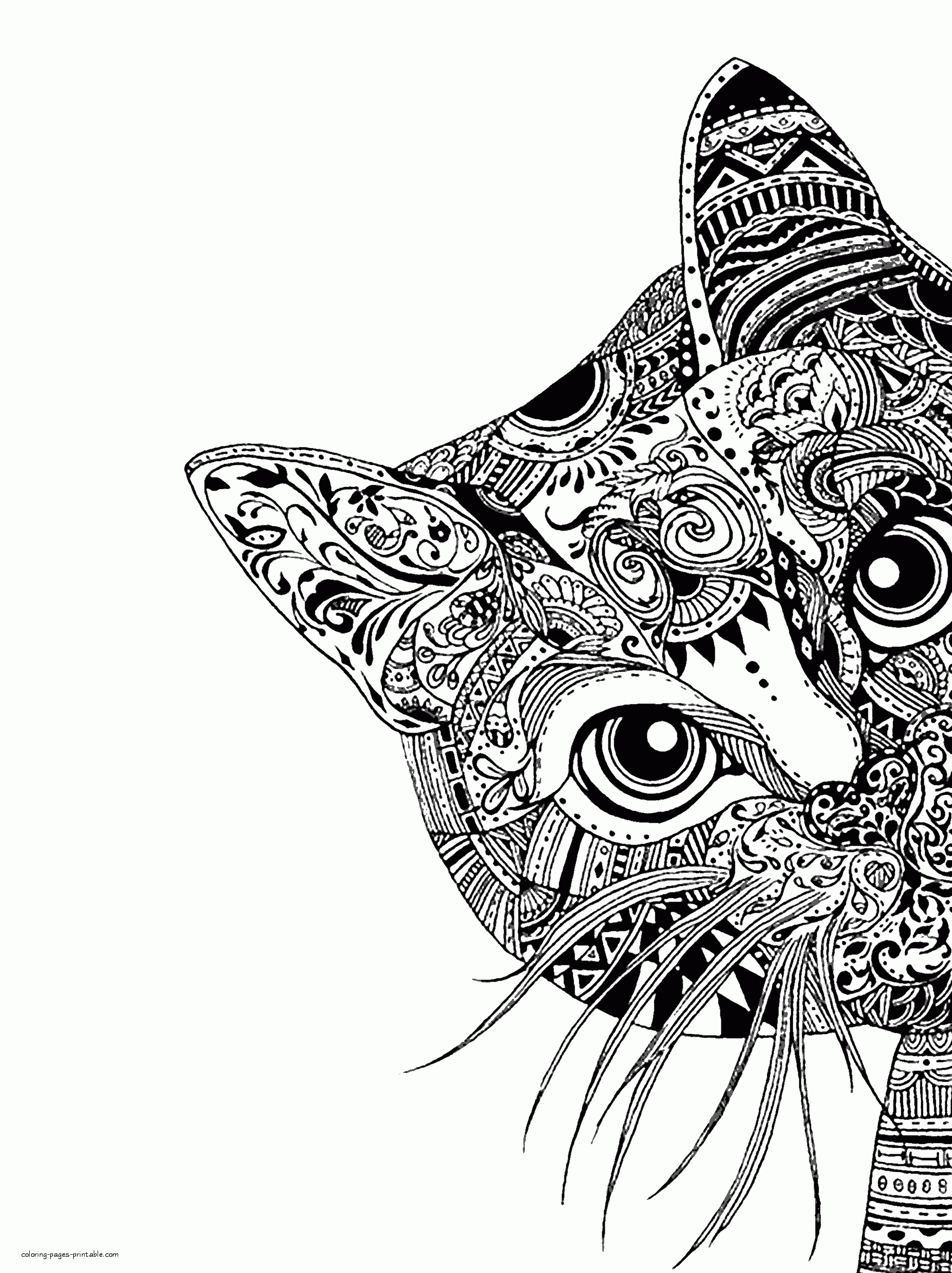 32 Cute Cat Face Coloring Page Printable 7