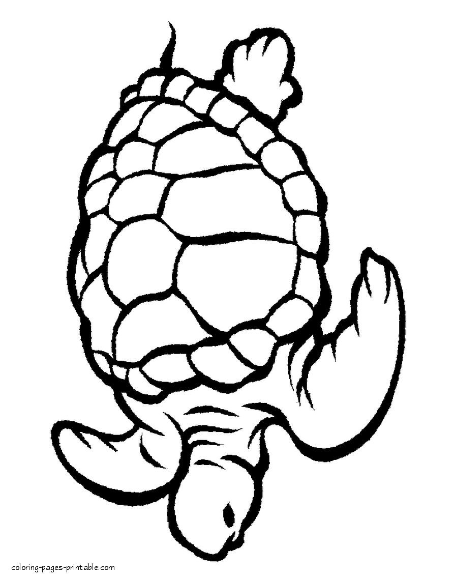 32 Cute Sea Creatures Coloring Pages Printable 10