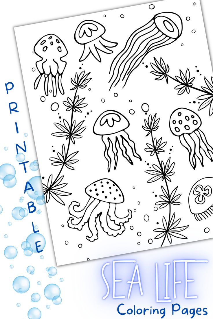 32 Cute Sea Creatures Coloring Pages Printable 19