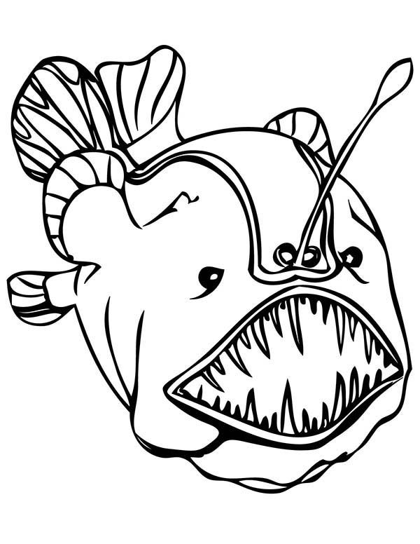 32 Cute Sea Creatures Coloring Pages Printable 21