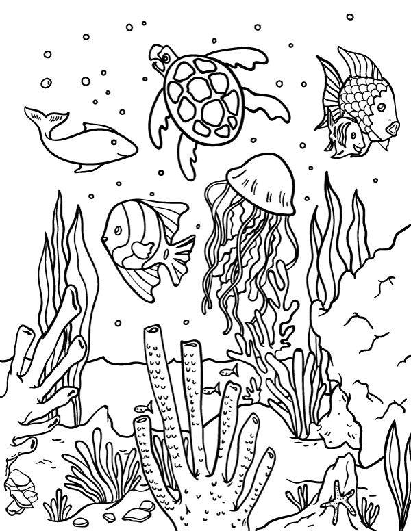 32 Cute Sea Creatures Coloring Pages Printable 31