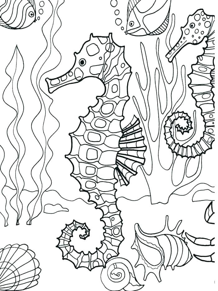 32 Cute Sea Creatures Coloring Pages Printable 33