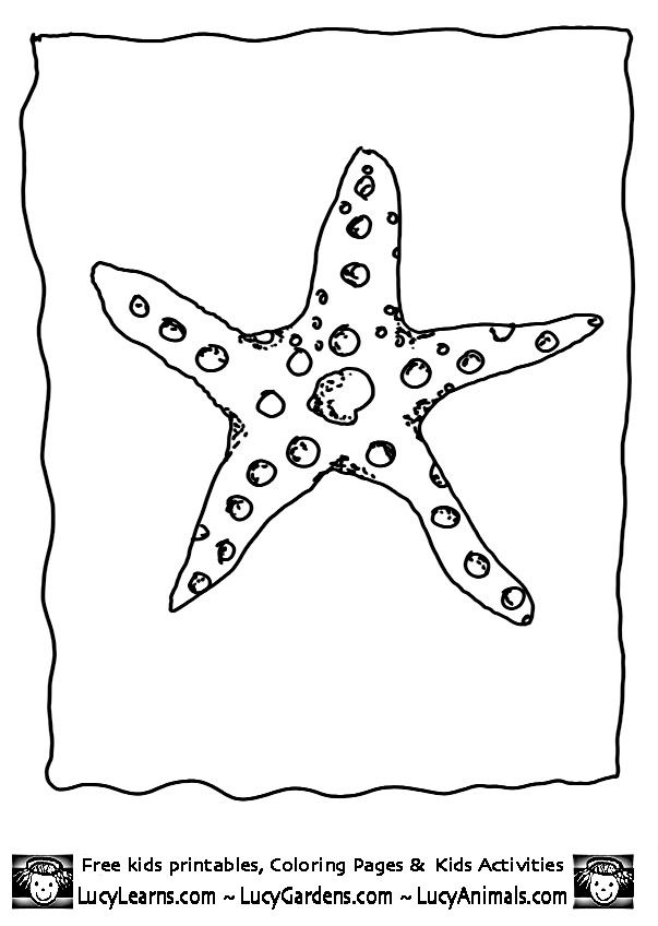 32 Cute Sea Creatures Coloring Pages Printable 34