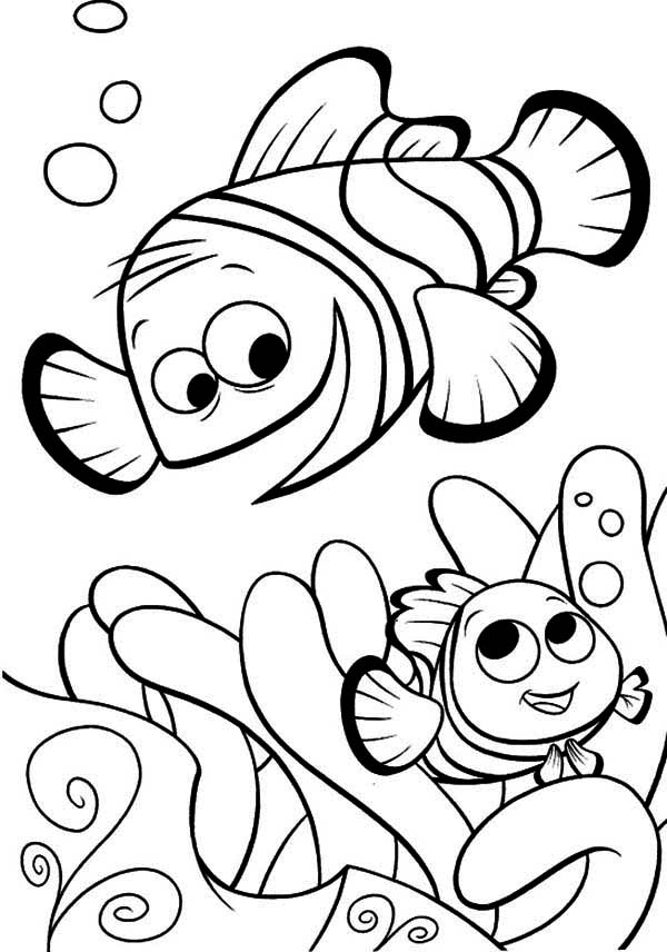 32 Exciting Finding Nemo Coloring Pages Printable 24