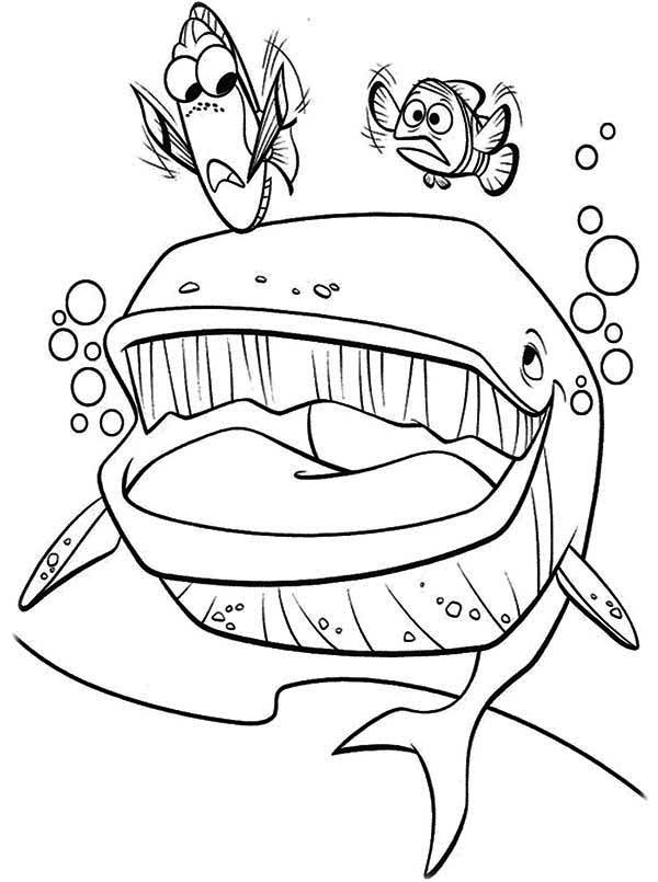 32 Exciting Finding Nemo Coloring Pages Printable 34