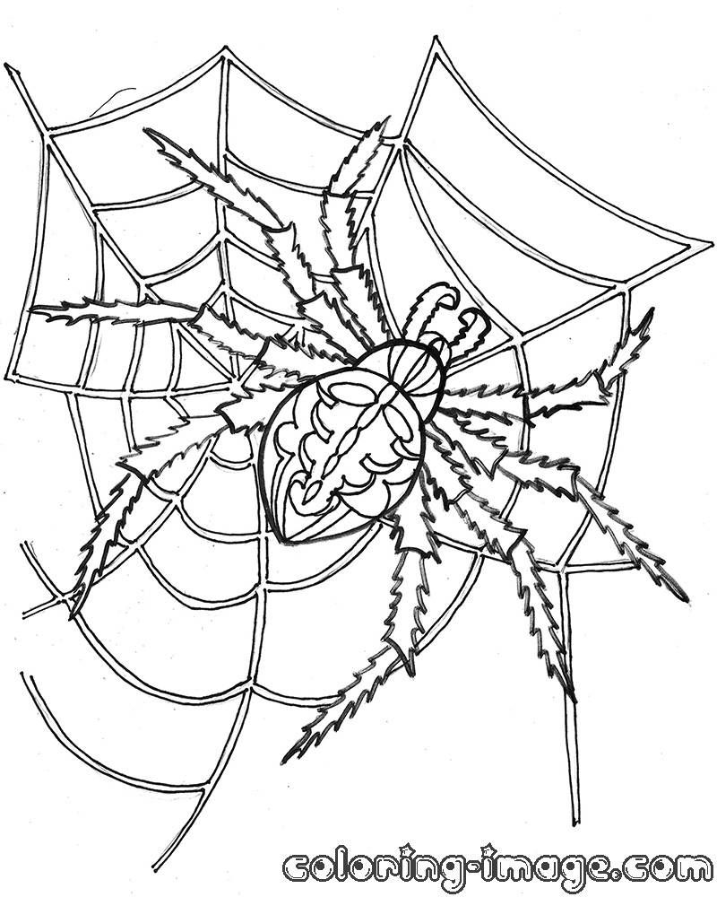 32 Spider Web Coloring Pages Printable 10