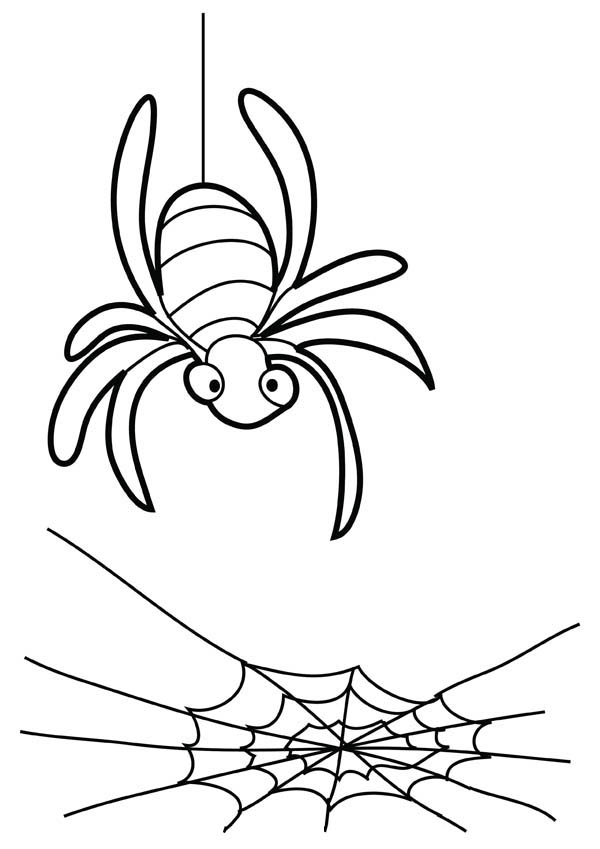 32 Spider Web Coloring Pages Printable 11