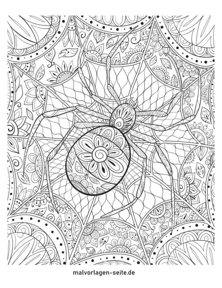 32 Spider Web Coloring Pages Printable 12