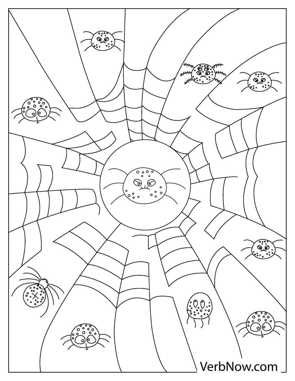 32 Spider Web Coloring Pages Printable 14