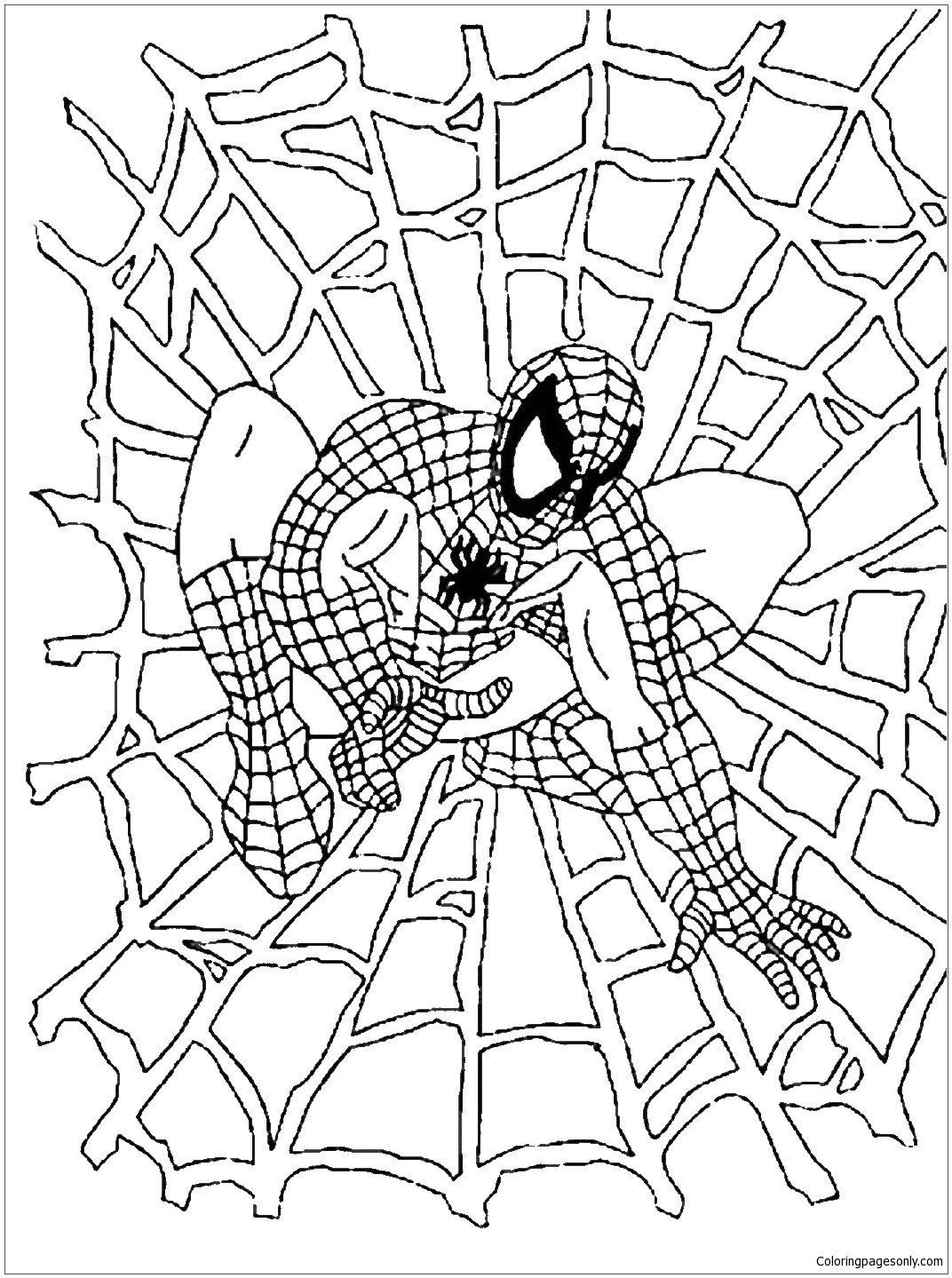 32 Spider Web Coloring Pages Printable 19