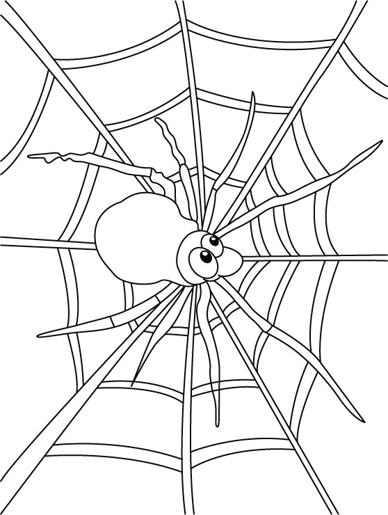 32 Spider Web Coloring Pages Printable 2