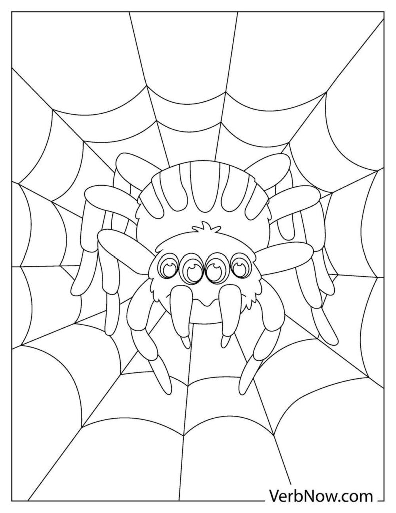 32 Spider Web Coloring Pages Printable 20