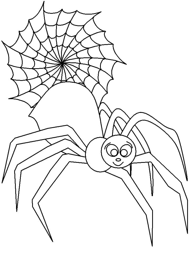 32 Spider Web Coloring Pages Printable 27