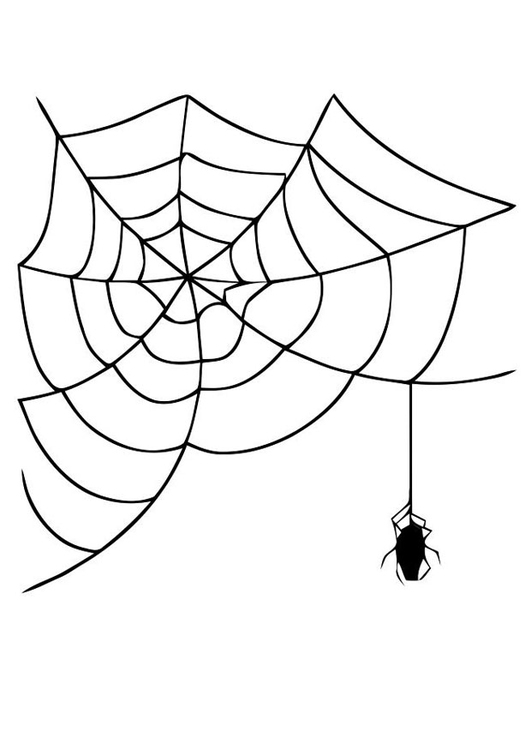 32 Spider Web Coloring Pages Printable 32