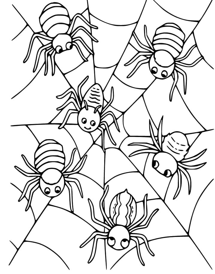 32 Spider Web Coloring Pages Printable 33