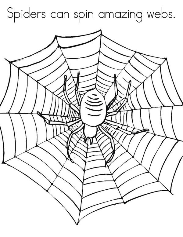 32 Spider Web Coloring Pages Printable 7