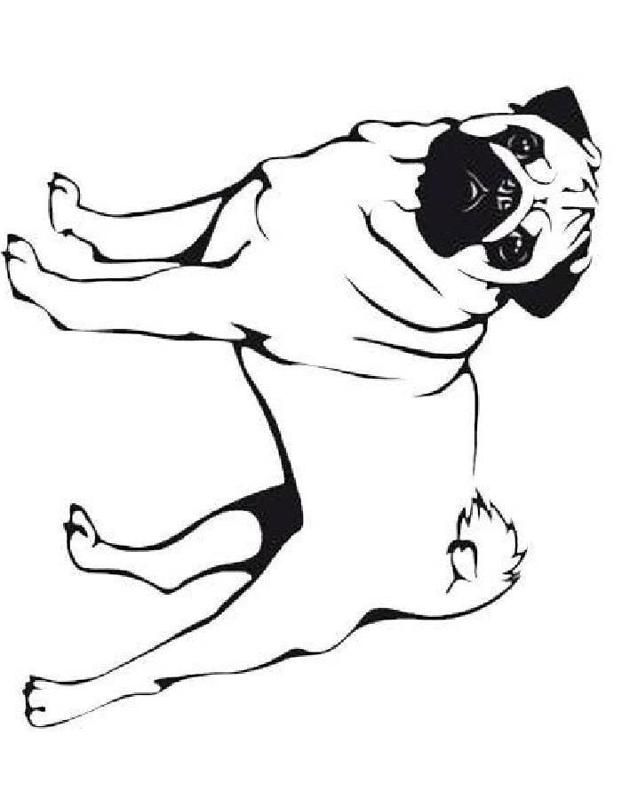 33 Pug Coloring Pages Printable 10