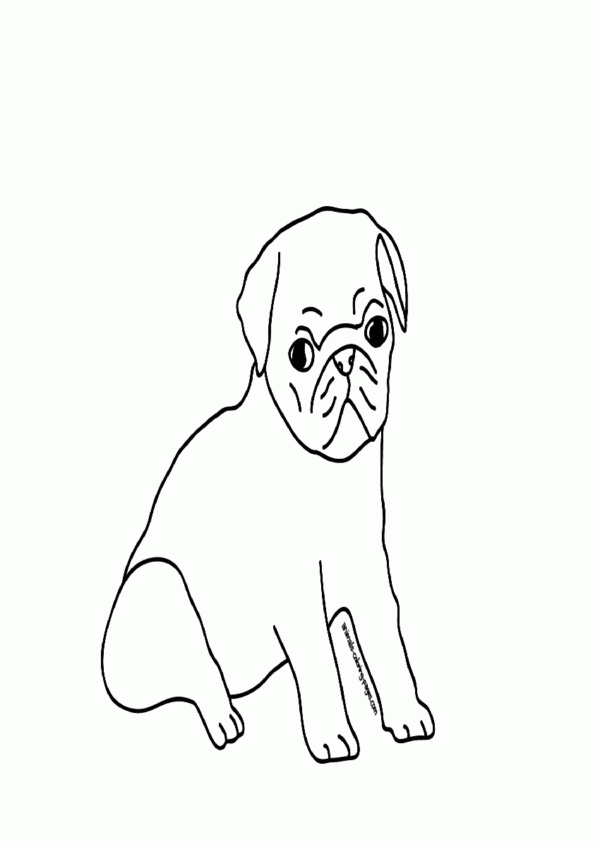 33 Pug Coloring Pages Printable 12