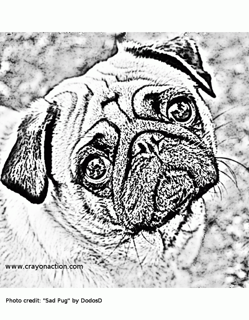 33 Pug Coloring Pages Printable 23