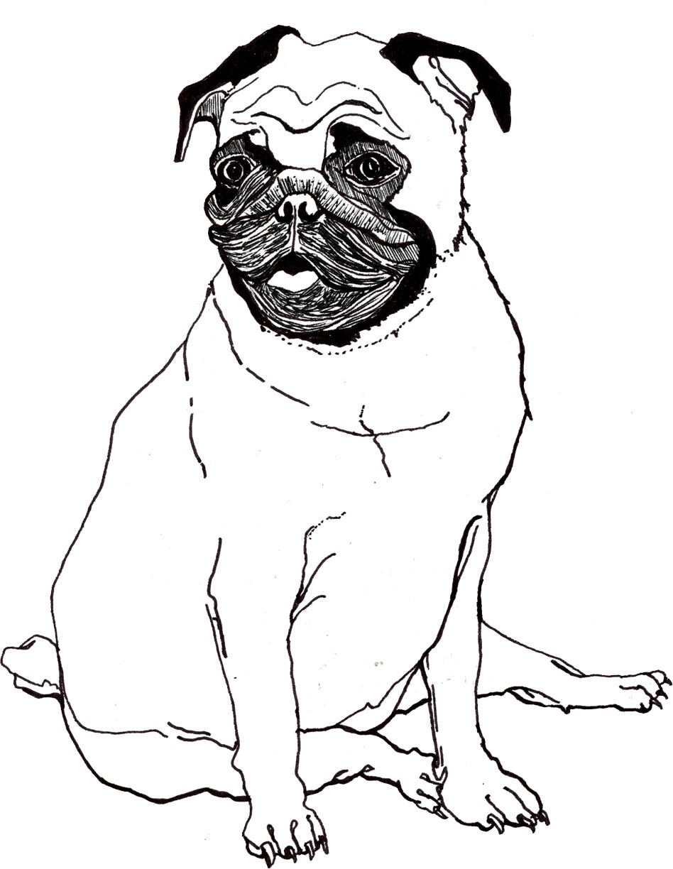 33 Pug Coloring Pages Printable 29