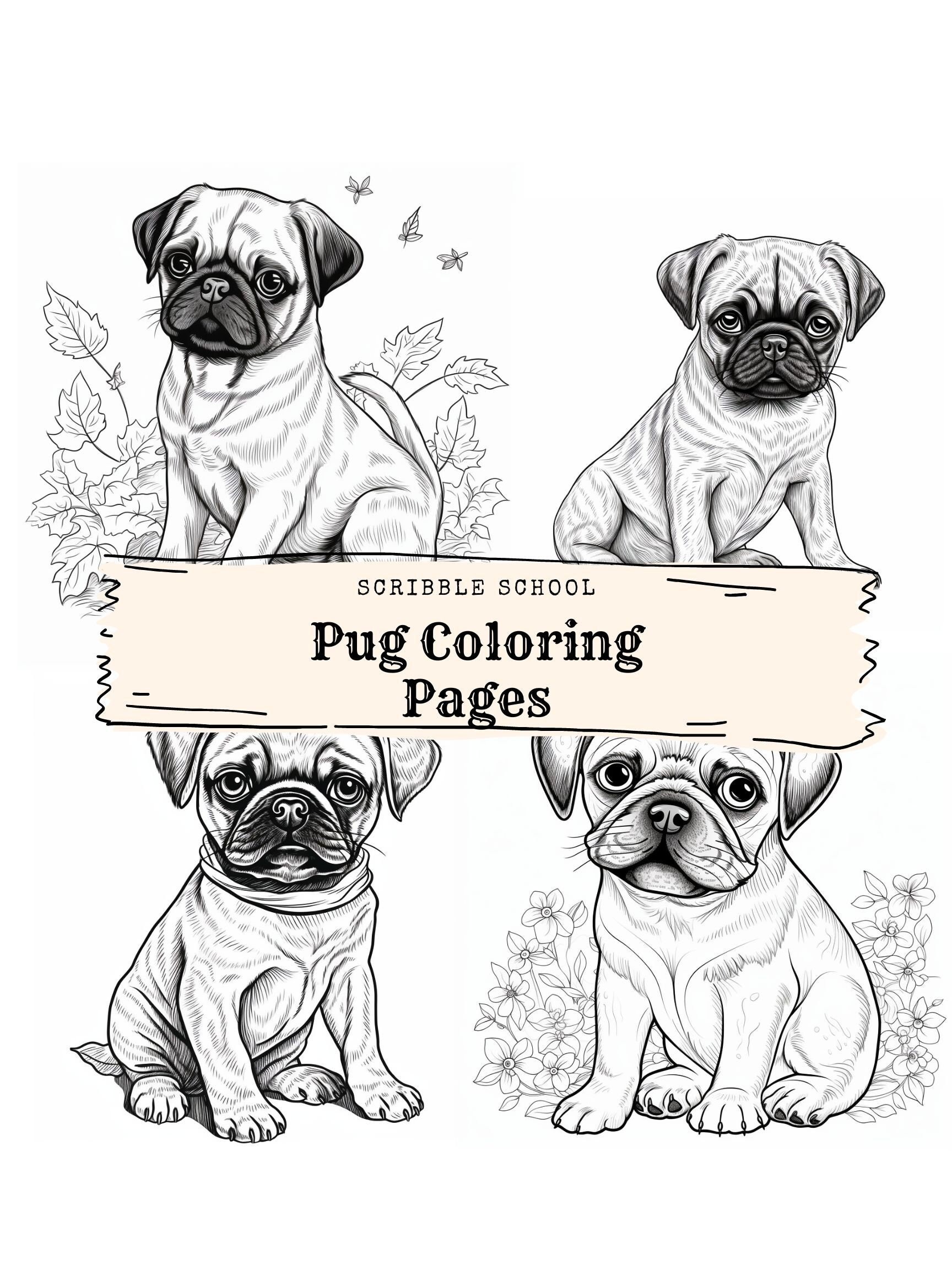 33 Pug Coloring Pages Printable 3