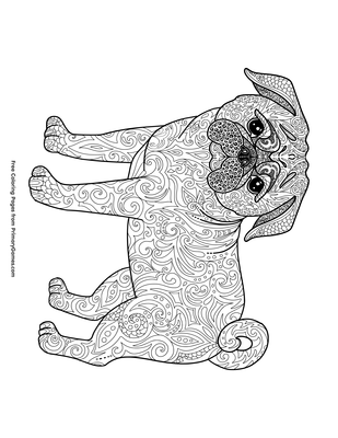 33 Pug Coloring Pages Printable 31