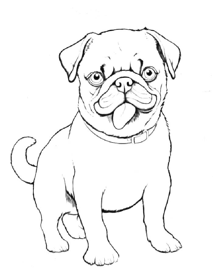 33 Pug Coloring Pages Printable 33