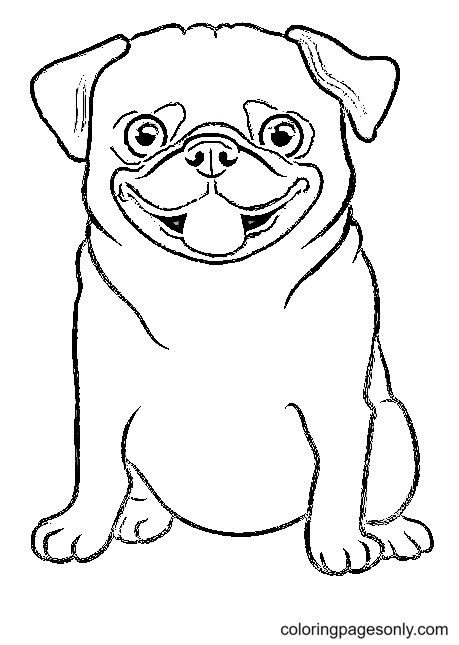 33 Pug Coloring Pages Printable 4