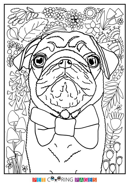 33 Pug Coloring Pages Printable 8