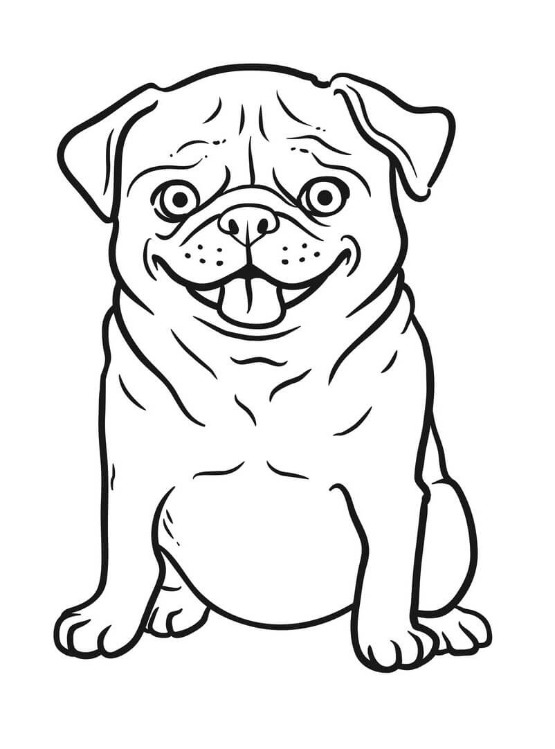 33 Pug Coloring Pages Printable 9