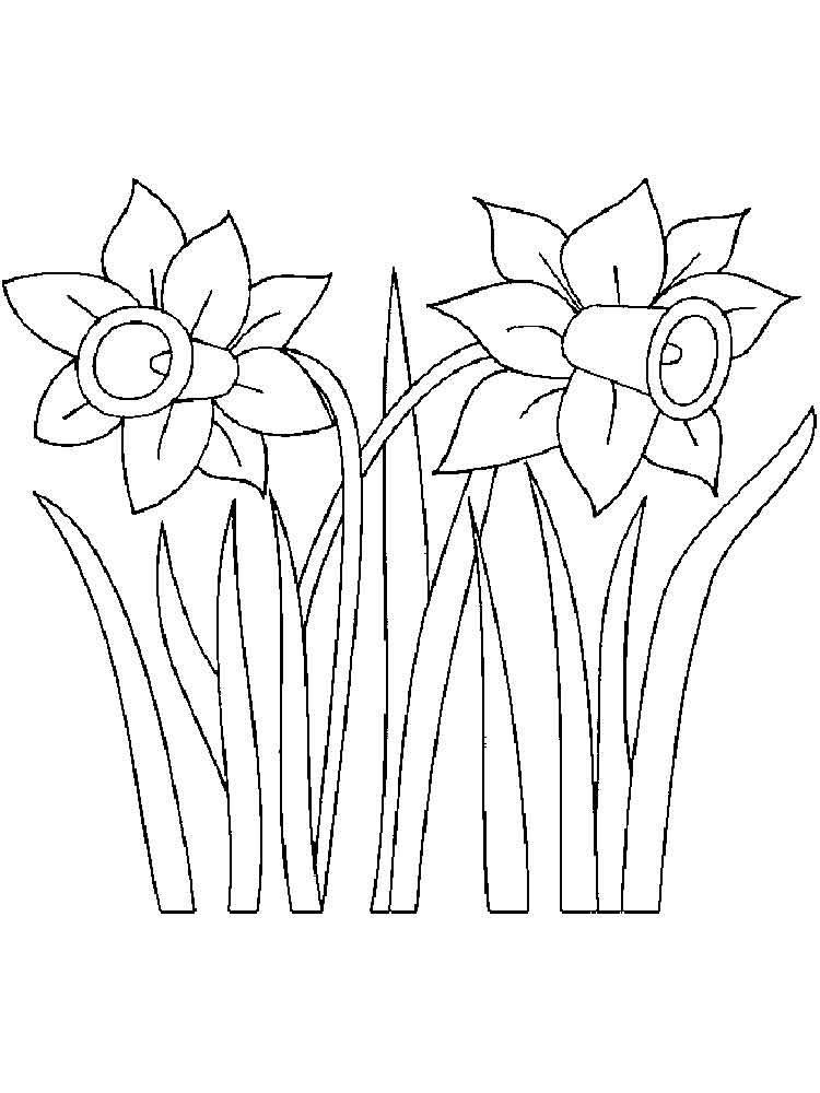 34 Beautiful Daffodil Coloring Pages Printable 16