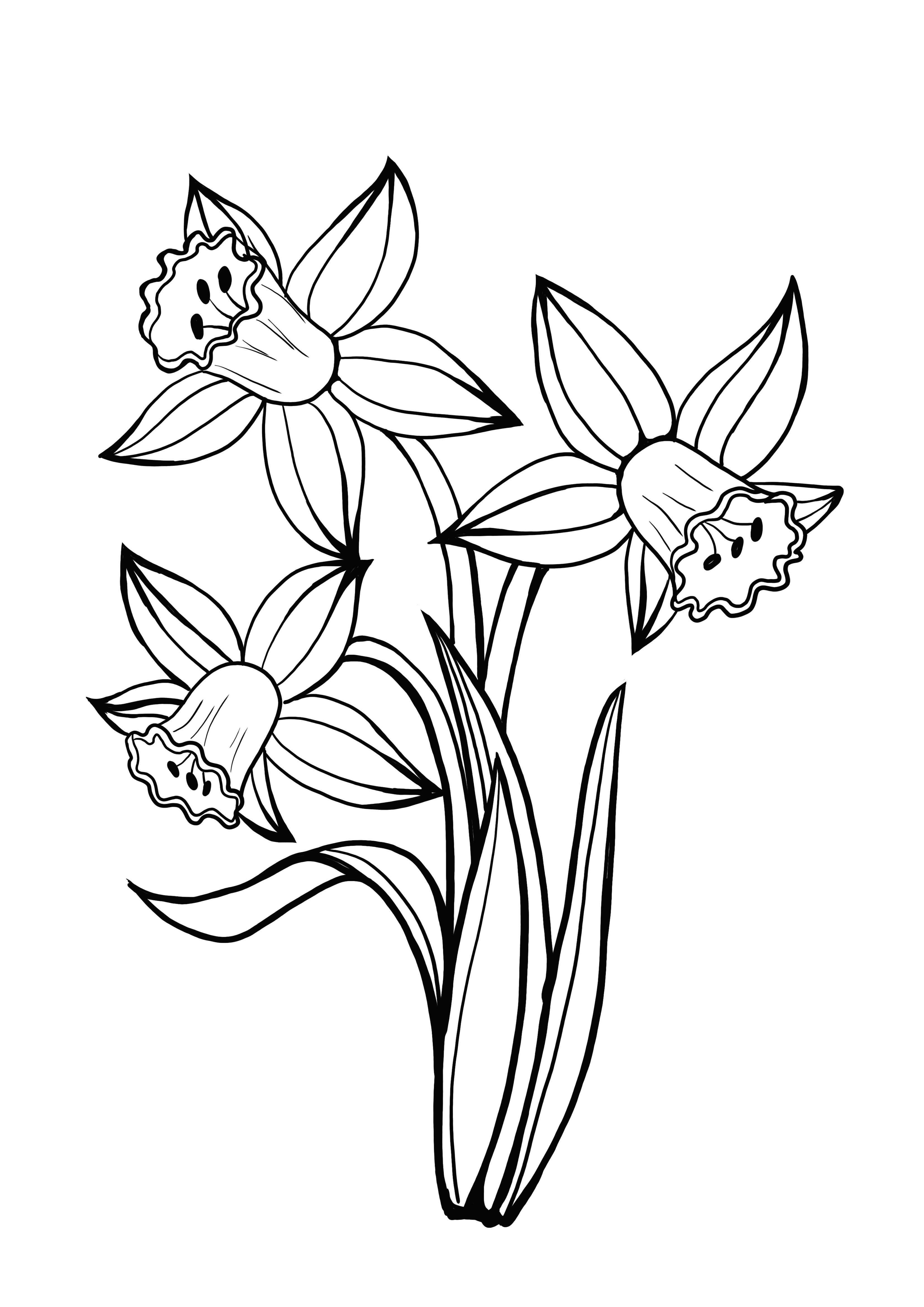 34 Beautiful Daffodil Coloring Pages Printable 25