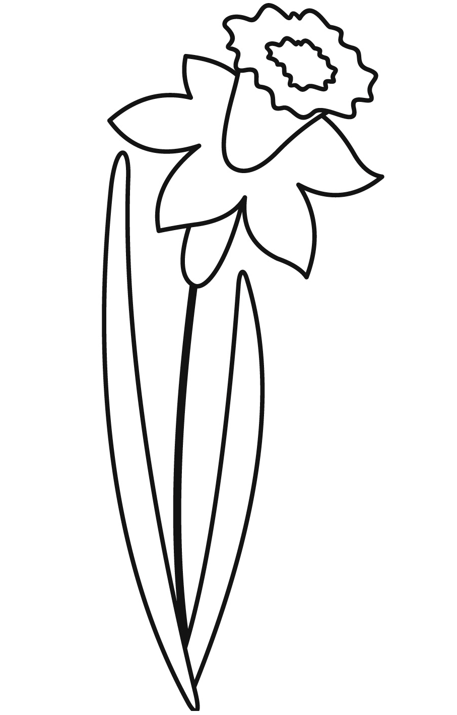 34 Beautiful Daffodil Coloring Pages Printable 5