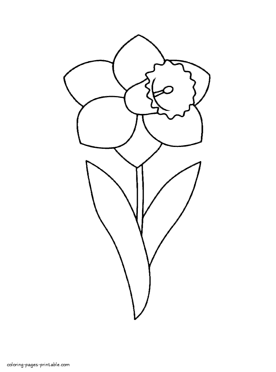 34 Beautiful Daffodil Coloring Pages Printable 6