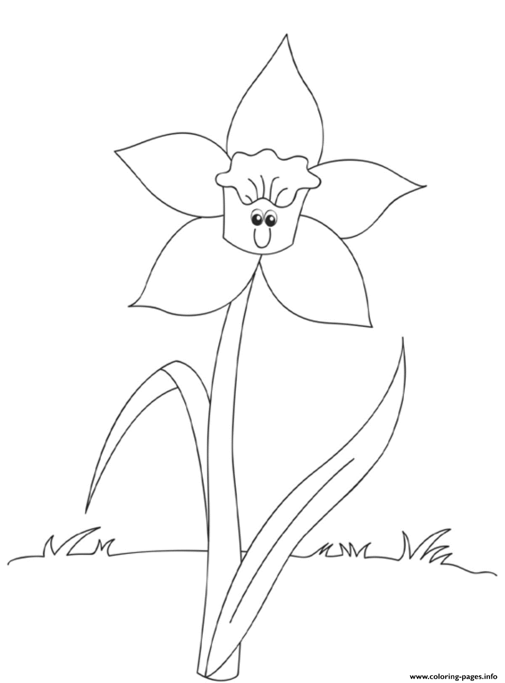 34 Beautiful Daffodil Coloring Pages Printable 7