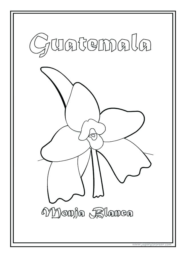 34 Proud Guatemala Flag Coloring Page Printable 26