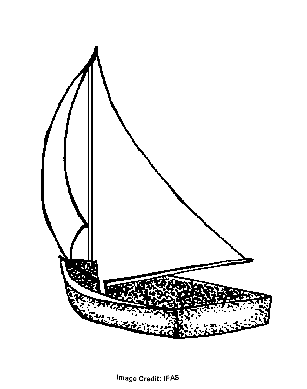 34 Sailboat Coloring Pages Printable 9