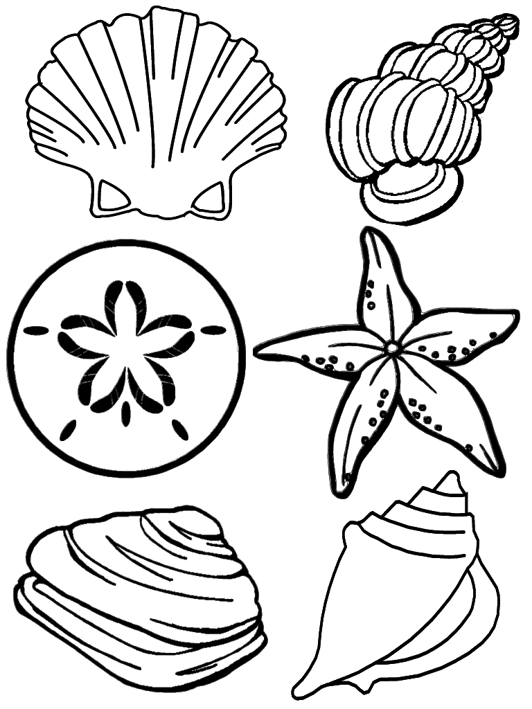 34 Seashell Coloring Pages Printable 1