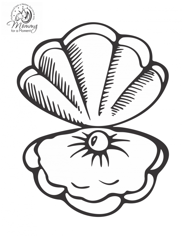 34 Seashell Coloring Pages Printable 11