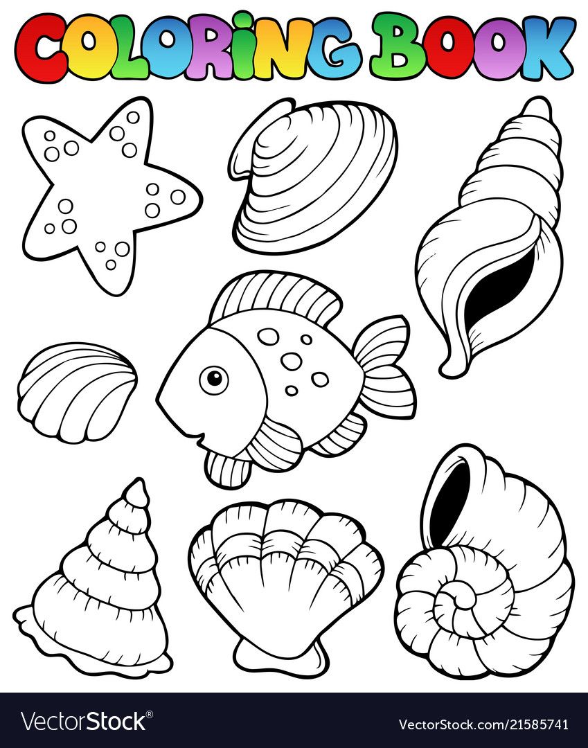 34 Seashell Coloring Pages Printable 13