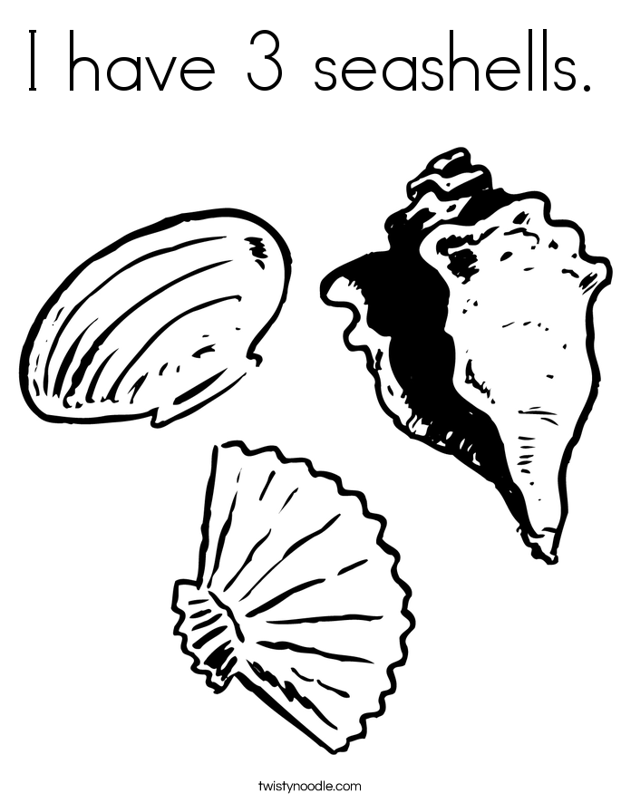 34 Seashell Coloring Pages Printable 15