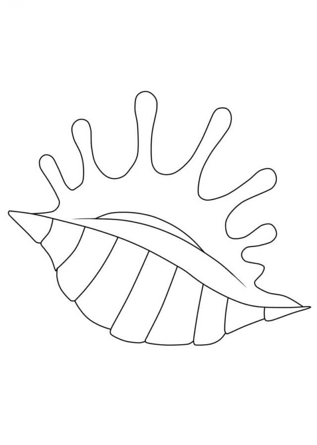 34 Seashell Coloring Pages Printable 16