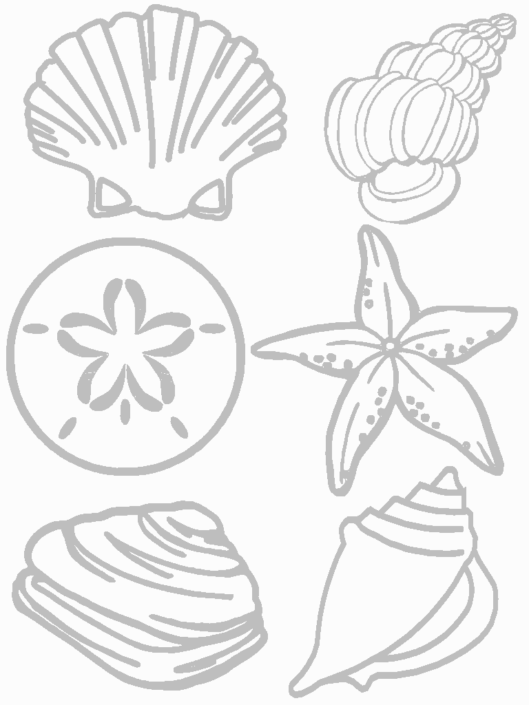 34 Seashell Coloring Pages Printable 17