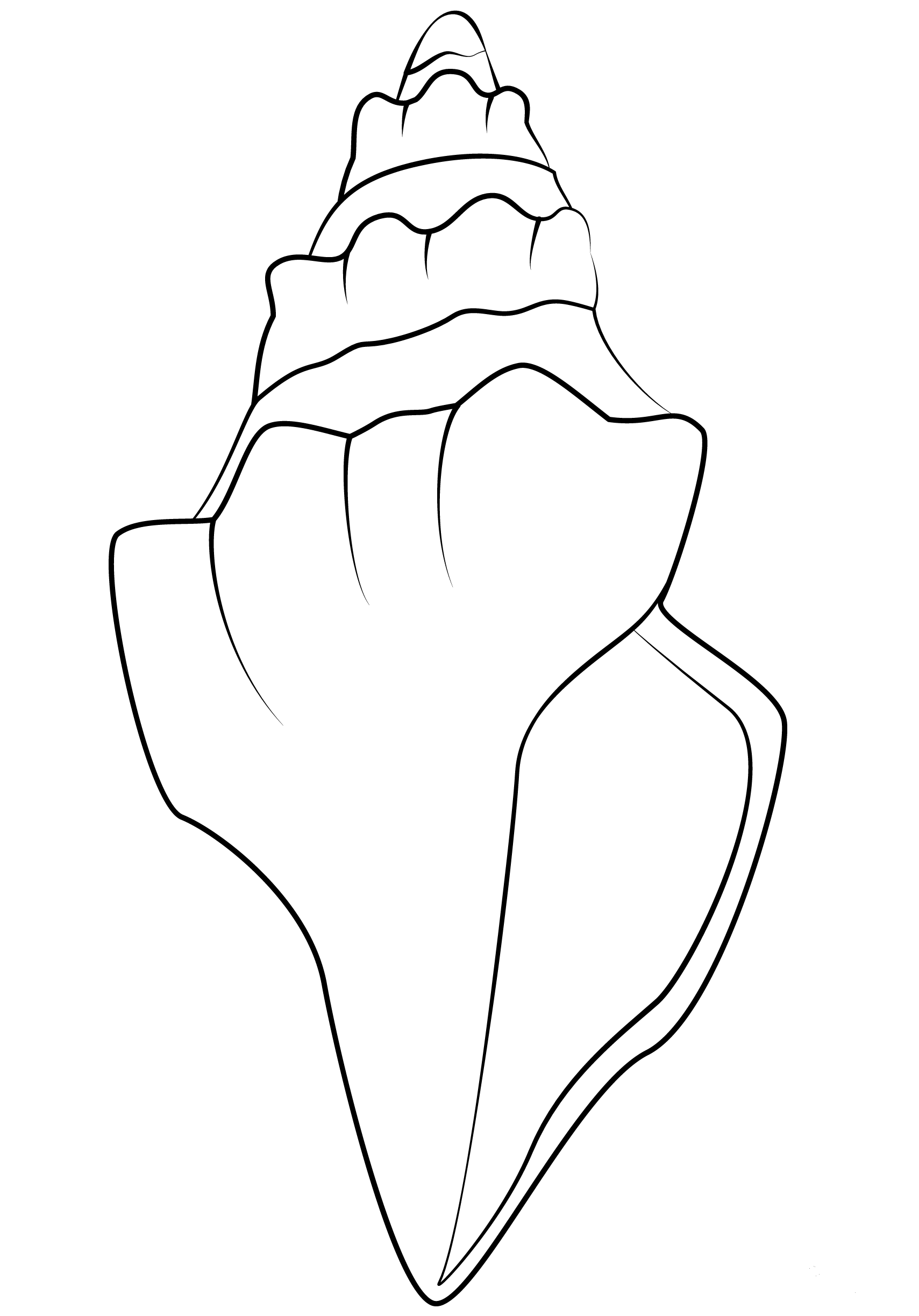 34 Seashell Coloring Pages Printable 2